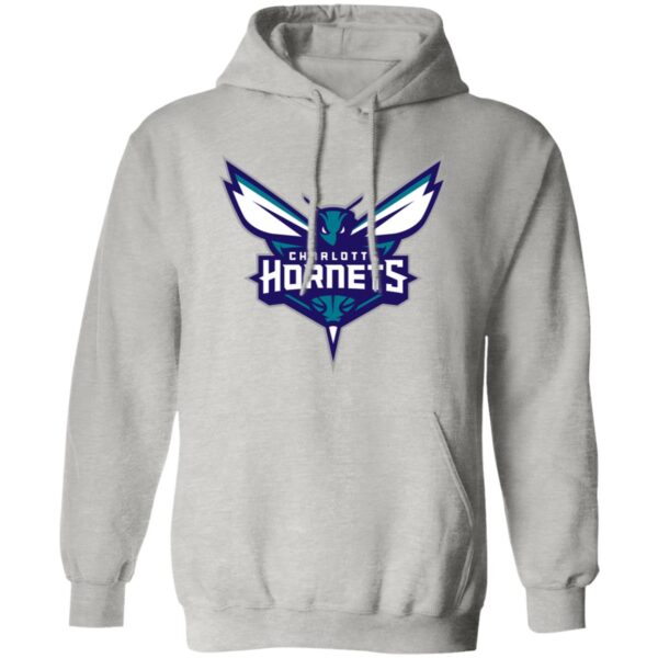 Charlotte Hornets Basketball  Unisex Sizing Blend Material Pullover Hoodie